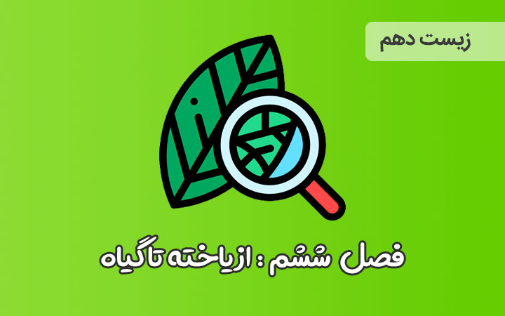 نکات مهم فصل ششم زیست دهم 2