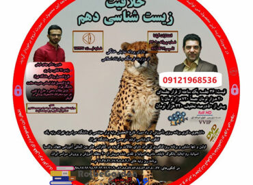 خلاقیت زیست دهم شیخی