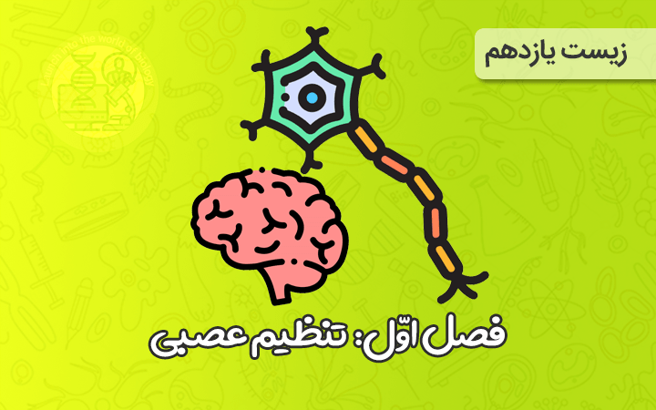 نکات مهم فصل اول زیست یازدهم